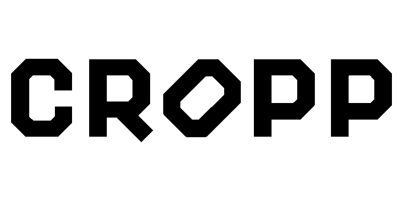 logo-cropp
